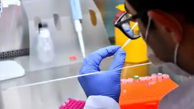 Yerli Kuduz Aşısı Klinik Öncesi Aşamada